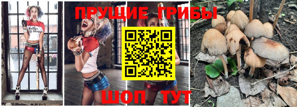 Псилоцибиновые грибы мицелий  Вход с VPN  Псилоцибиновые грибы мицелий  Иваново 
